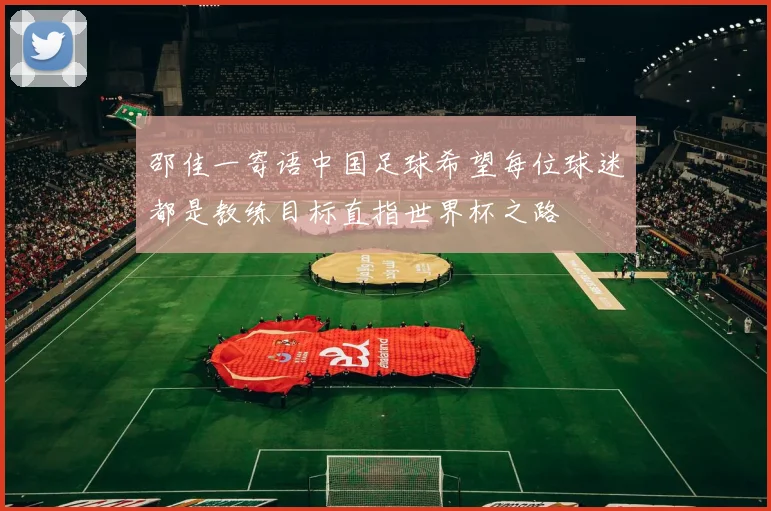 邵佳一寄语中国足球希望每位球迷都是教练目标直指世界杯之路